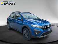 Gebraucht Dacia Sandero Expression 91 PS (66 kW) 2025 Blau Kleinwagen