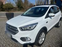 Gebraucht Ford Kuga Titanium 150 PS (110 kW) 2019 Weiß SUV