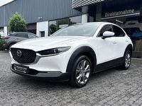 Gebraucht Mazda CX-30 90 PS (66 kW) 2022 Weiss SUV