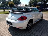 gebraucht VW Beetle TSI DSG
