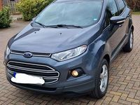 Gebraucht Ford Ecosport Trend 125 PS (91 kW) 2016 Grau SUV