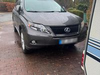 Gebraucht Lexus RX450h Luxury Line 249 PS (183 kW) 2007 Braun SUV