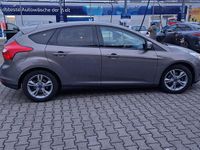 Usata Ford Focus 100 CV (73 kW) 2016 Utilitaria