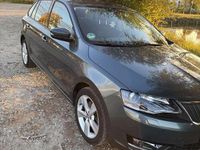 Gebraucht Skoda Rapid Clever 110 PS (80 kW) 2018 Grau Kombi