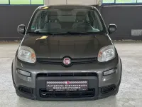 Gebraucht Fiat Panda 69 PS (50 kW) 2023 Grau Kleinwagen