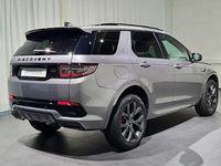 Gebraucht Land Rover Discovery Sport SE Dynamic 204 PS (150 kW) 2023 Grau, eiger grey SUV