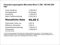 Gebraucht Mercedes C250 204 PS (150 kW) 2011 Palladiumsilber Kombi