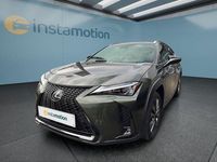 Gebraucht Lexus UX 184 PS (135 kW) 2023 Grün SUV