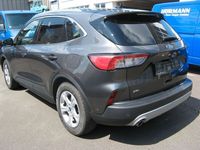 Gebraucht Ford Kuga Titanium 190 PS (139 kW) 2020 Grau SUV