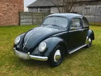 Gebraucht VW Käfer 34 PS (25 kW) 1953 Kleinwagen