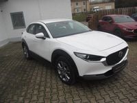 Gebraucht Mazda CX-30 150 PS (110 kW) 2023 Arctic white SUV