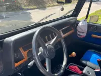 Gebraucht Jeep Wrangler 180 PS (132 kW) 1993 Schwarz SUV