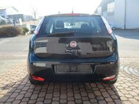 Gebraucht Fiat Punto More 69 PS (50 kW) 2012 Blau Kleinwagen