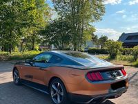 gebraucht Ford Mustang V6 3,7l