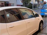 Gebraucht Honda Jazz 90 PS (66 kW) 2011 Weiß Kleinwagen