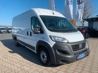 Gebraucht Fiat Ducato 140 PS (102 kW) 2021 Weiß Van