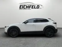 Gebraucht Mazda CX-30 Homura-Line 122 PS (89 kW) 2024 Snowflake white pearl SUV