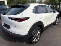 Second-hand Mazda CX-30 Selection 122 CP (89 kW) 2020 Alb SUV