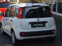 Gebraucht Fiat Panda Urban 69 PS (50 kW) 2020 Weiß Kleinwagen