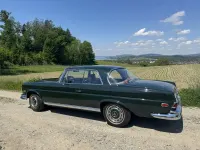 Gebraucht Mercedes 280 SE 160 PS (117 kW) 1968 Grün Coupé