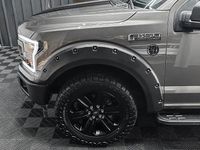 Gebraucht Ford F-150 Raptor 408 PS (300 kW) 2019 Braun Pickup