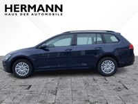 gebraucht VW Golf VII AUV