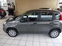 Gebraucht Fiat Panda Easy 69 PS (50 kW) 2019 Grau Kleinwagen