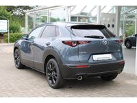 Gebraucht Mazda CX-30 Homura-Line 150 PS (110 kW) 2024 Grau SUV