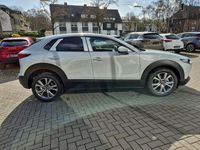 Neu Mazda CX-30 140 PS (102 kW) 2026 SUV