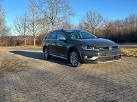Gebraucht VW Golf Alltrack 184 PS (135 kW) 2017 Grau Kombi