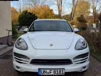 Gebraucht Porsche Cayenne 245 PS (180 kW) 2014 Weiß SUV