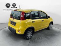 Gebraucht Fiat Panda 69 PS (50 kW) 2024 Pandina gelb Kleinwagen