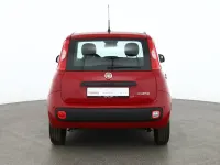 Nowe Fiat Panda 69 KM (50 kW) 2025 Czerwony Hatchback