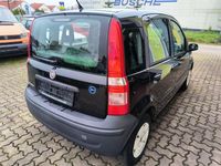 Usata Fiat Panda Active 54 CV (39 kW) 2009 Nero Utilitaria