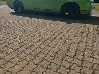 Second-hand Dodge Challenger 309 CP (227 kW) 2013 Coupe
