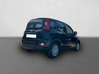 Gebraucht Fiat Panda 69 PS (50 kW) 2025 Schwarz Kleinwagen