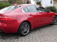 Gebraucht Jaguar XE Pure 179 PS (131 kW) 2016 Rot Limousine