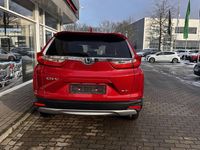 Gebraucht Honda CR-V 2021 Rot SUV