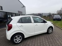 Gebraucht Kia Picanto Edition 7 67 PS (49 kW) 2019 Weiß Kleinwagen