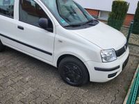 gebraucht Fiat Panda Panda1.1 Active