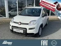 Gebraucht Fiat Panda 69 PS (50 kW) 2025 Gelato weiss Kleinwagen