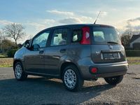 gebraucht Fiat Panda Easy 1.2 LPG Radio Klima