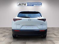 Neu Mazda CX-30 Homura-Line 140 PS (102 kW) 2025 SUV