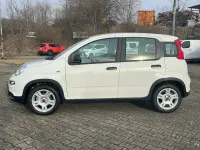 Gebraucht Fiat Panda 70 PS (51 kW) 2024 Weiß Kleinwagen