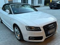 Gebraucht Audi A5 Cabriolet 245 PS (180 kW) 2010 Weiß Cabrio