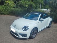 Gebraucht VW Beetle Sound 150 PS (110 kW) 2018 Weiß Kleinwagen