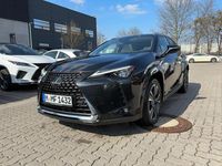 Gebraucht Lexus UX 184 PS (135 kW) 2023 Schwarz SUV