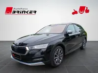 Gebraucht Skoda Octavia Scout 4x4 190 PS (139 kW) 2023 Schwarzmagic perleffekt Kombi