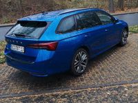 Gebraucht Skoda Octavia SE 150 PS (110 kW) 2025 Blau Kombi