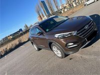 Gebraucht Hyundai Tucson 141 PS (103 kW) 2017 Braun SUV